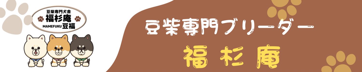 豆柴ブリーダー福杉庵